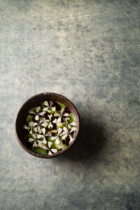 Forelle im Stadium 3 by Klemens Gold Photocredit_www.joerg-lehmann.photography1005963