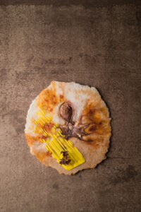 Fossil 8 by Klemens Gold Photocredit_www.joerg-lehmann.photography1005971