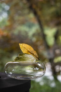 Grün Tee by Klemens Gld Photocredit_www.joerg-lehmann.photography3A1364