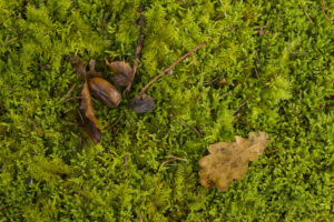 Photocredit_www.joerg-lehmann.photography3A1445