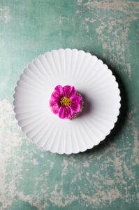 Malve by Klemens Gold Photocredit_www.joerg-lehmann.photography1005996