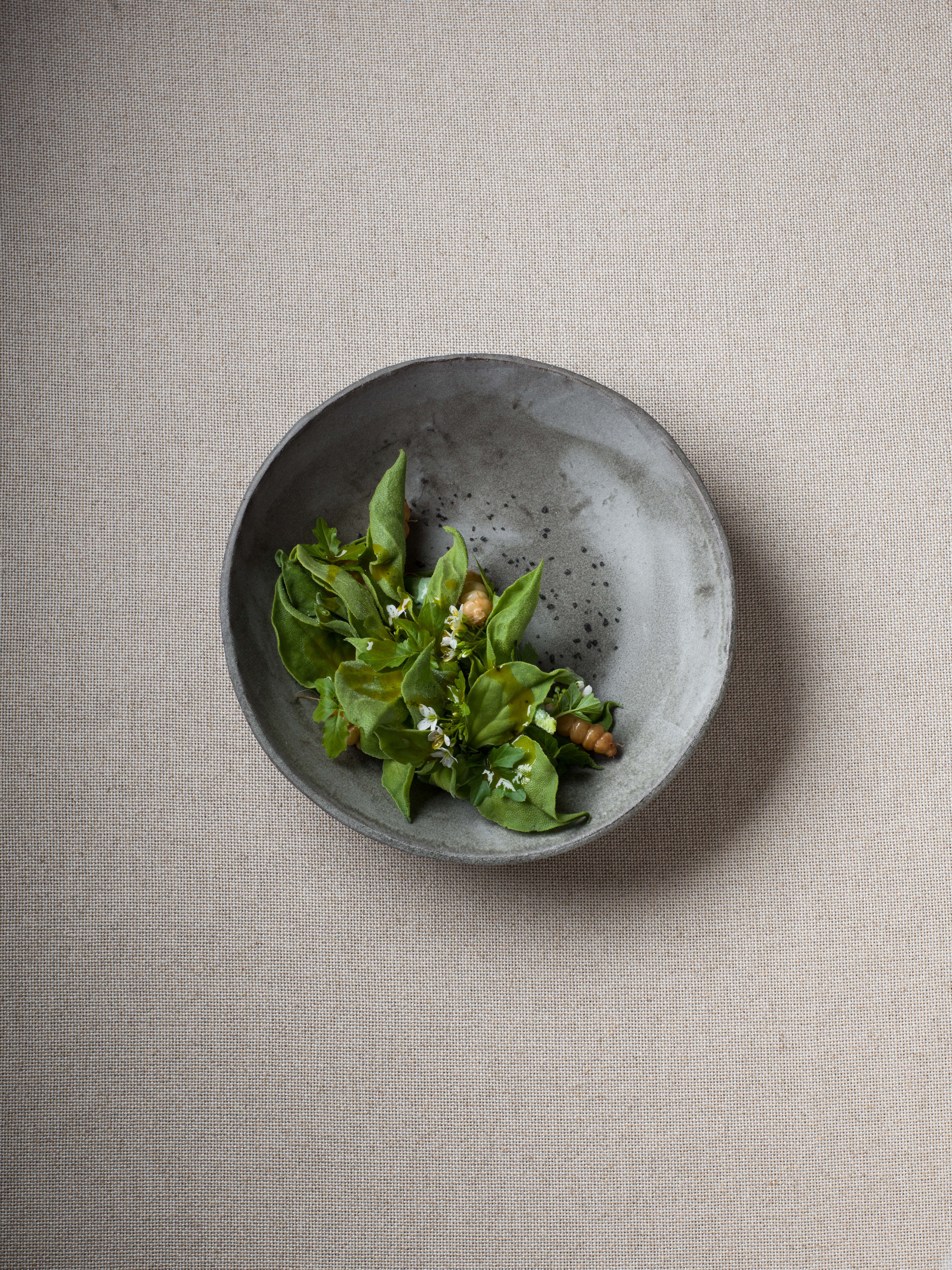 Sprossen des Lebens ©https://www.joerg-lehmann.photography